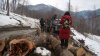 (2011.02.23) ЭкоВахта посетила район строительства олимпийской резиденции Путина и Медведева